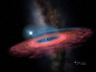 An artist's depiction of the giant stellar-mass black hole LB1 accreting gas from a nearby blue companion star. 