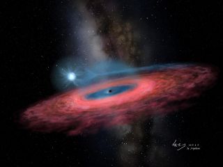 An artist's depiction of the giant stellar-mass black hole LB1 accreting gas from a nearby blue companion star.