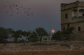 Луна осетровых появляется над Идлибом, Сирия, 21 августа 2021 года.