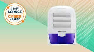 Pro Breeze 1500ml mini dehumidifier