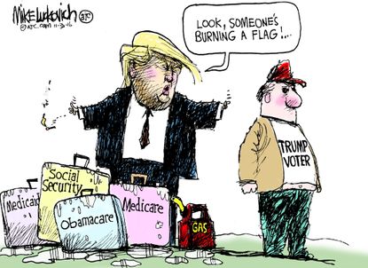 Political cartoon U.S. Donald Trump burning flag Twitter