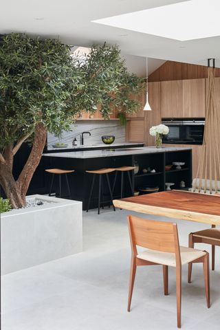 Wooden and black kitchen with large olive tree