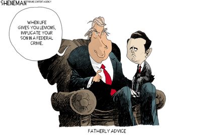 Political cartoon U.S. Trump Don Jr. federal crime fatherly advice Russia investigation collusion