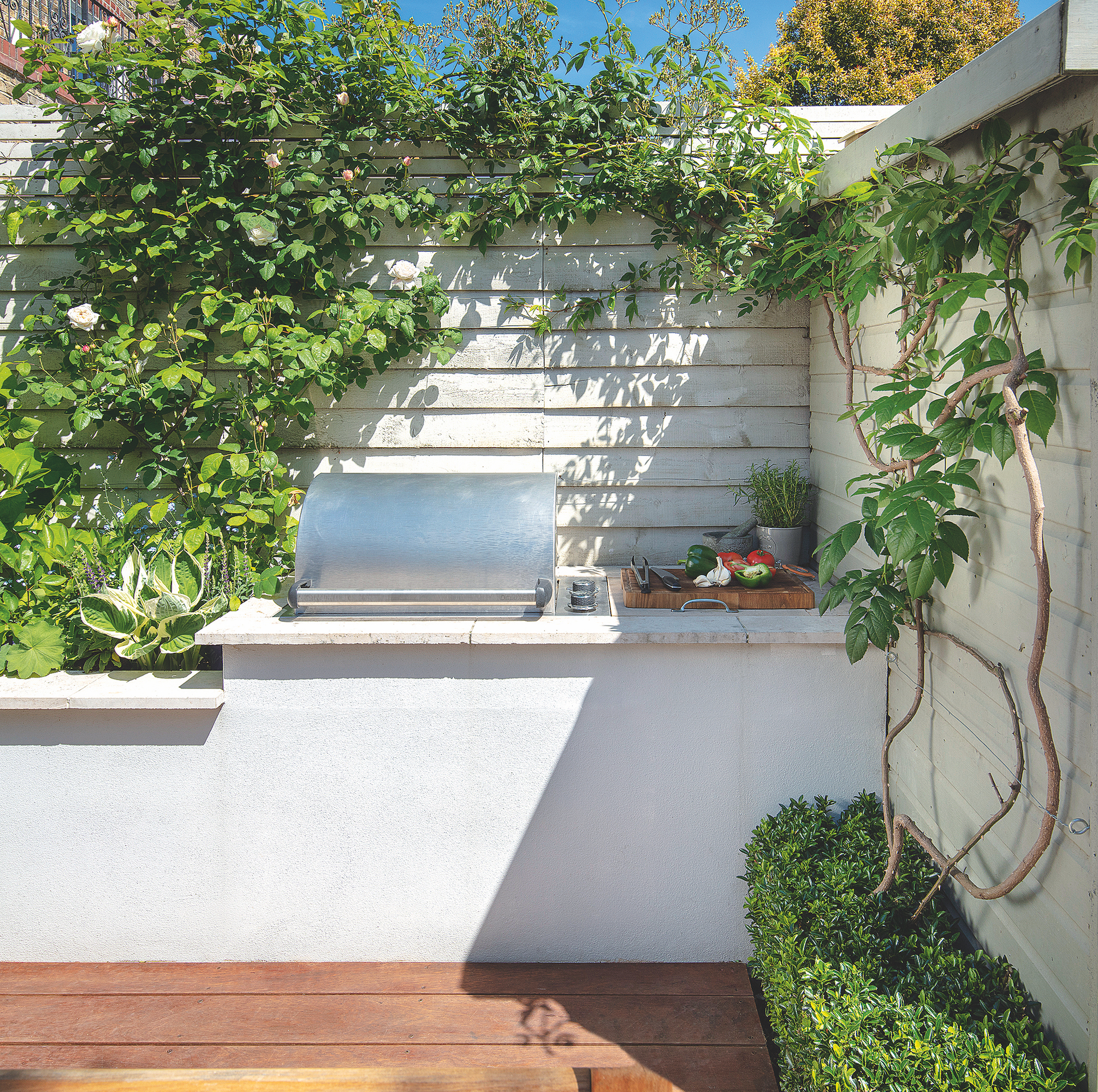 BBQ in corner of garden with white fencing and climbing plants