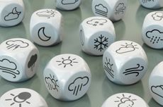 Bordeaux 2024 growing season