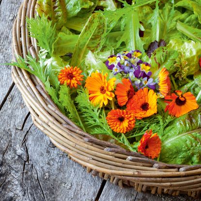 grow your own garden a basket full of mixed salad leaves and edible flowers