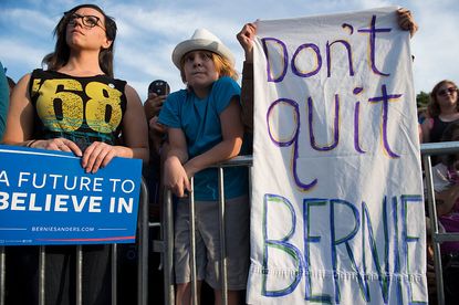 Bernie Sanders fans at a rally in Washington, D.C.