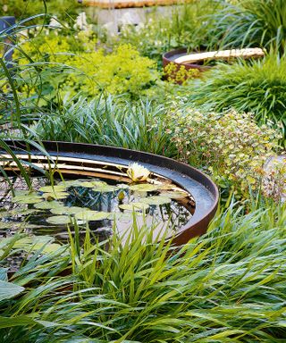 raised metal ponds with water lilies edged with ornamental grasses