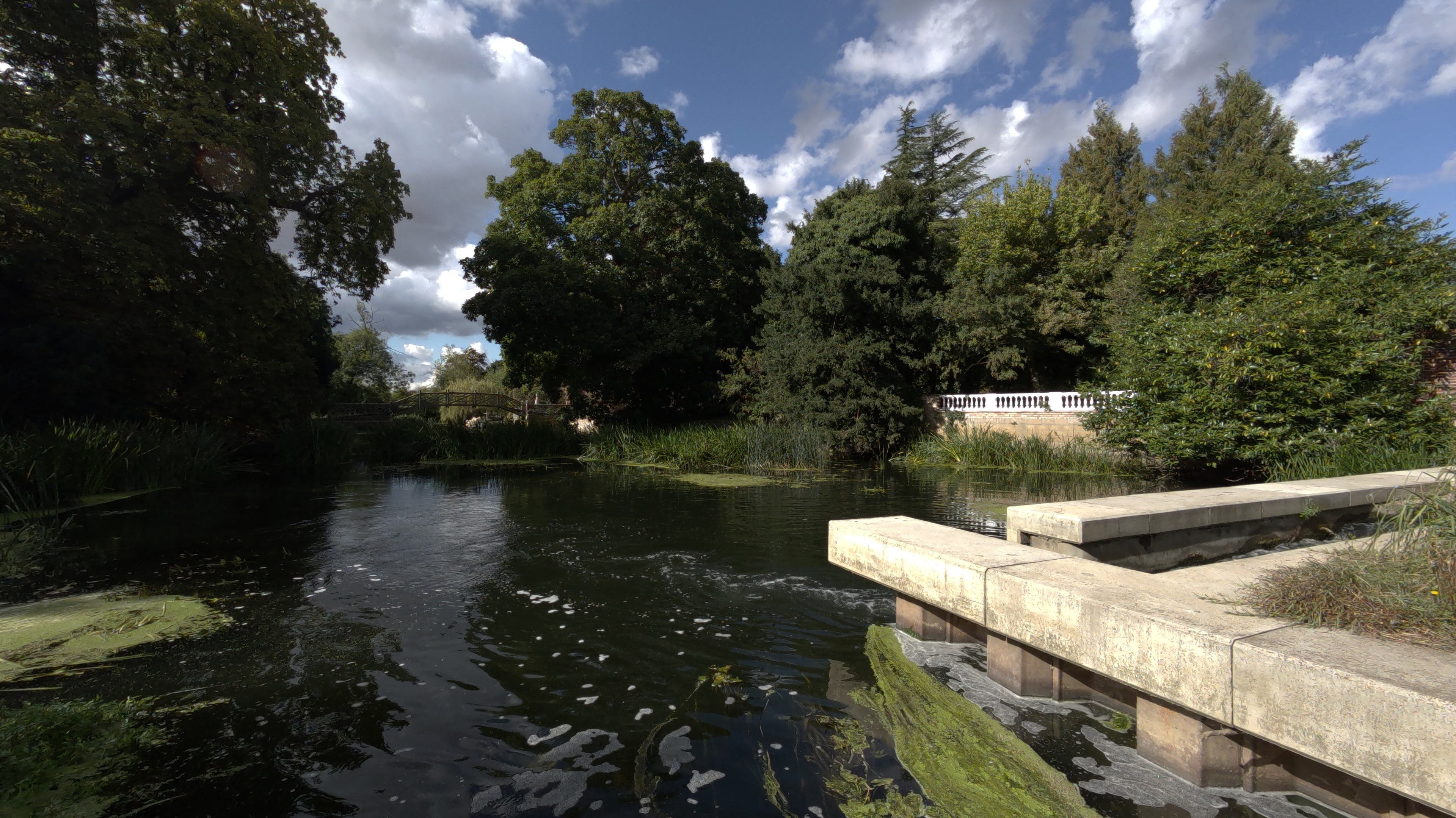 A river surrounded by trees shot on an Kandao QooCam 3 Ultra 360 camera