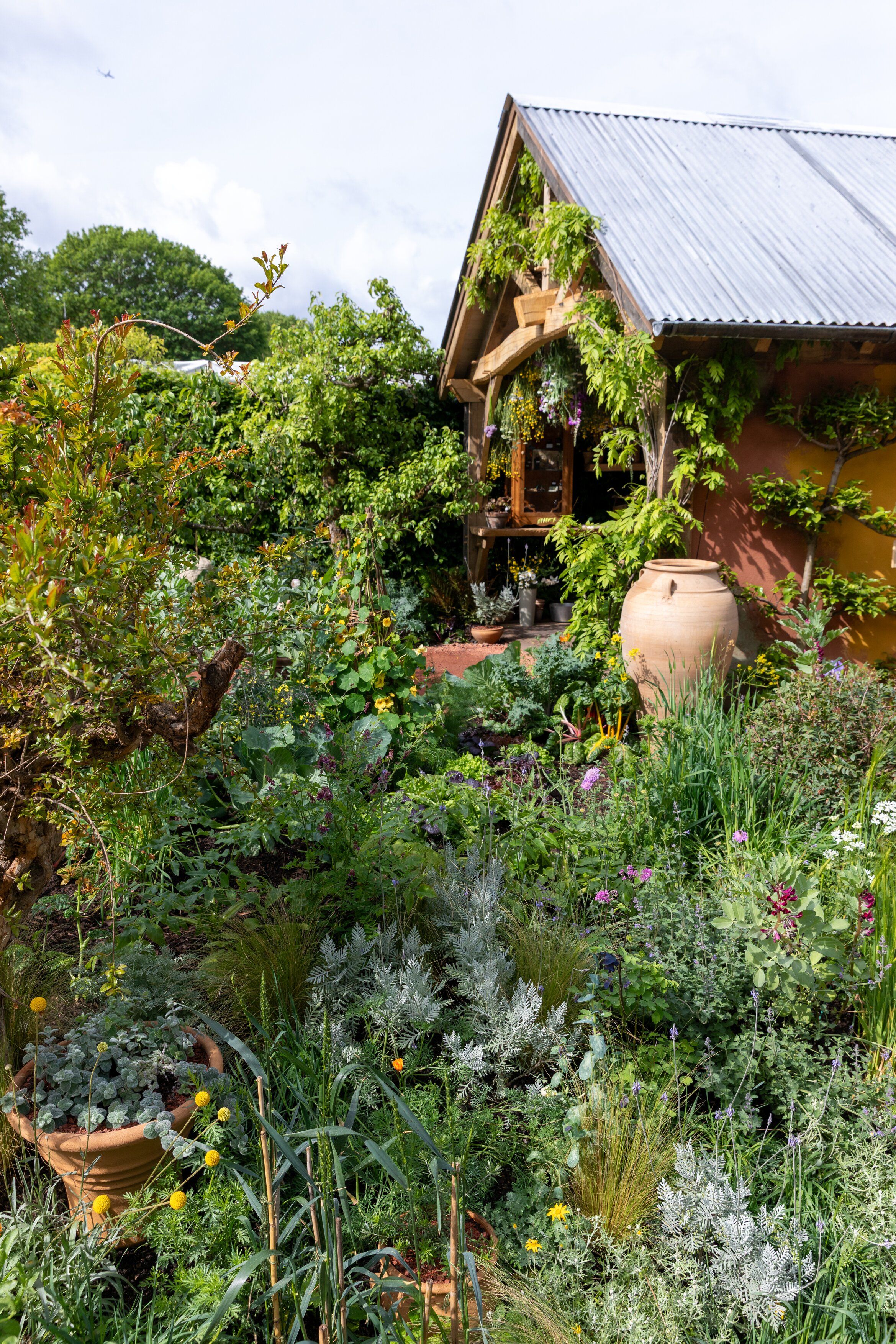Close up and details of the King's Garden at RHS Chelsea, showing the planting and the central oak structure