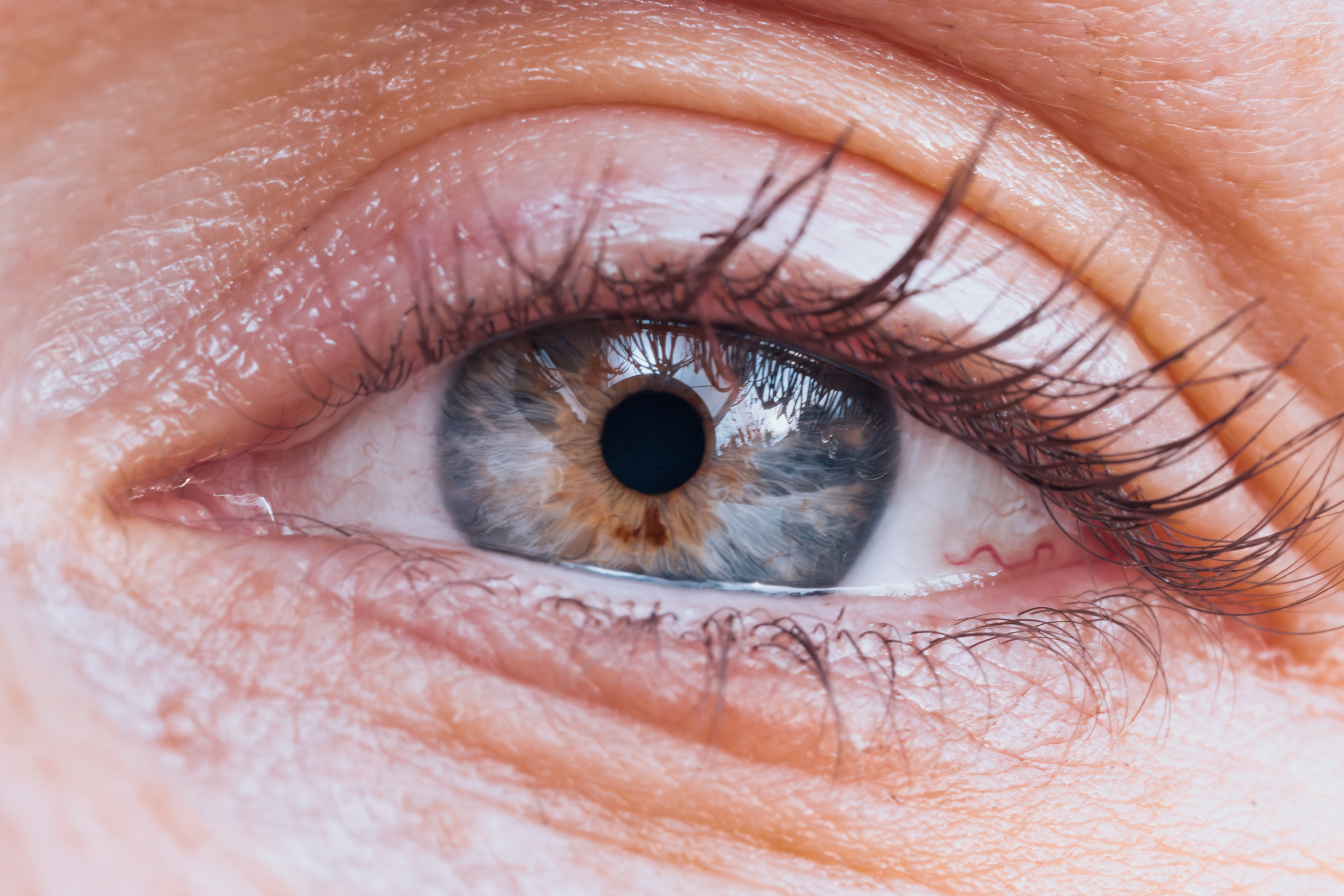 Close-up photographs showing blue and brown human eyes