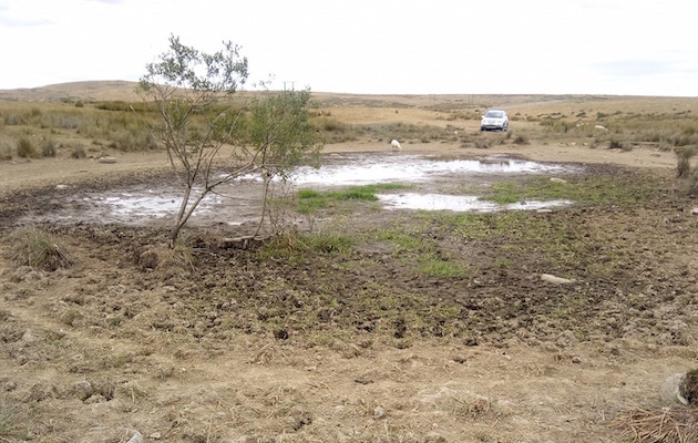 water-hole-photo-to-use.jpeg