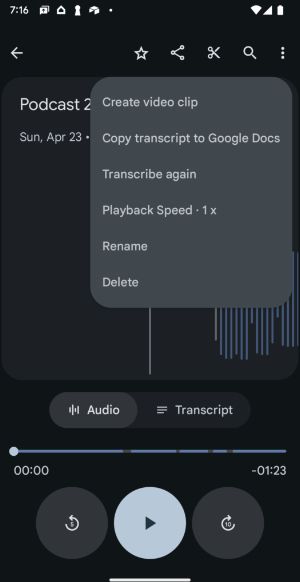 A screenshot of the Transcribe again button.