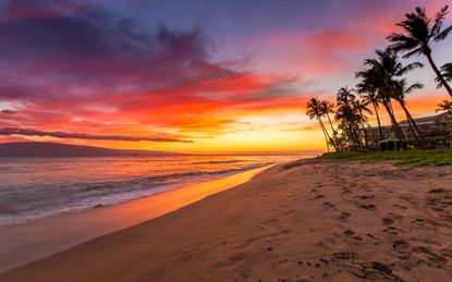 A Hawaiian Vacation From Costco Travel