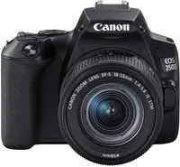 Best student camera: Canon EOS 250D