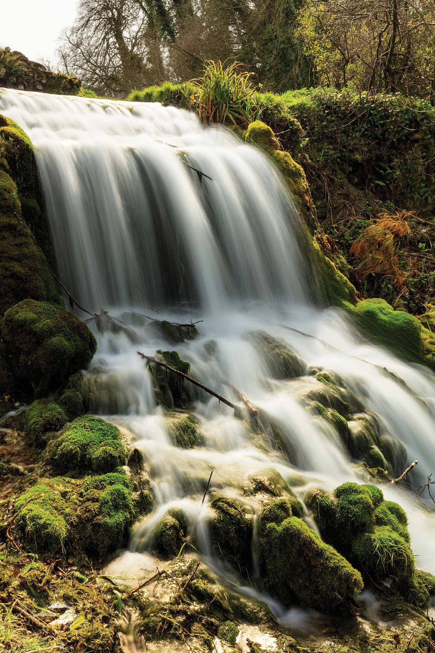 A serene waterfall cascades over moss-covered rocks, surrounded by lush greenery and trees, creating a tranquil nature scene