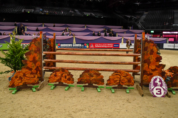Fence 3: Oak Tree Oxer