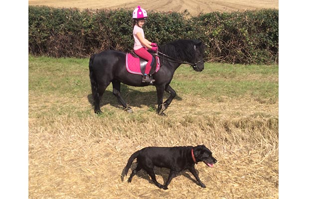 “This is my six-year-old daughter Chloe with her Dartmoor Bracken and Labrador Millie” — Cerys Evans