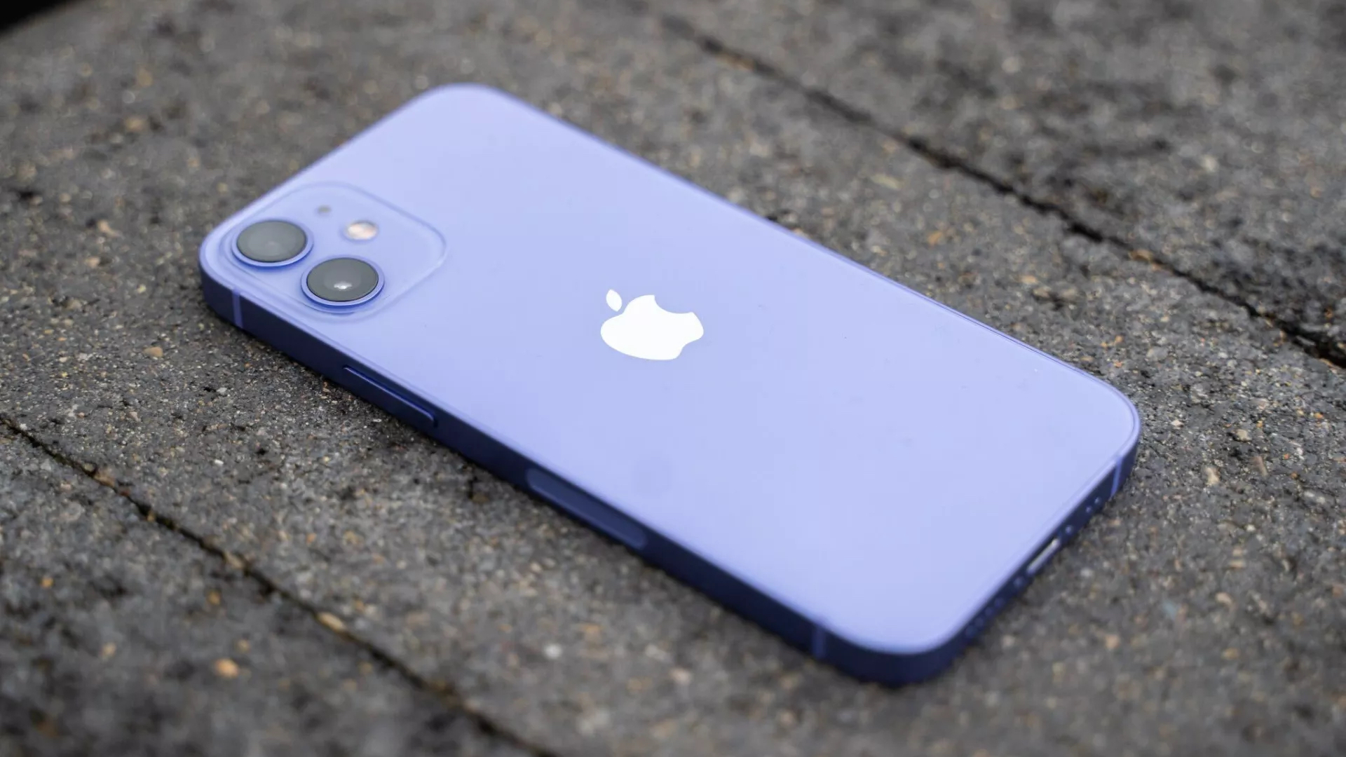 Bagian belakang iPhone 12 mini berwarna ungu