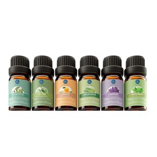 Six essential diffuser bottles with colorful labels