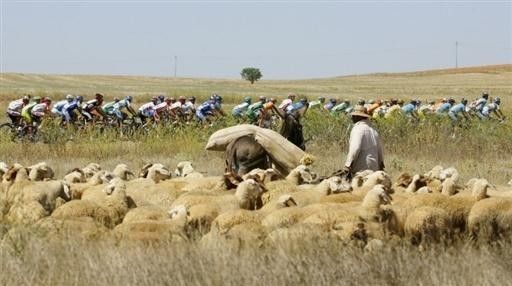 The peloton