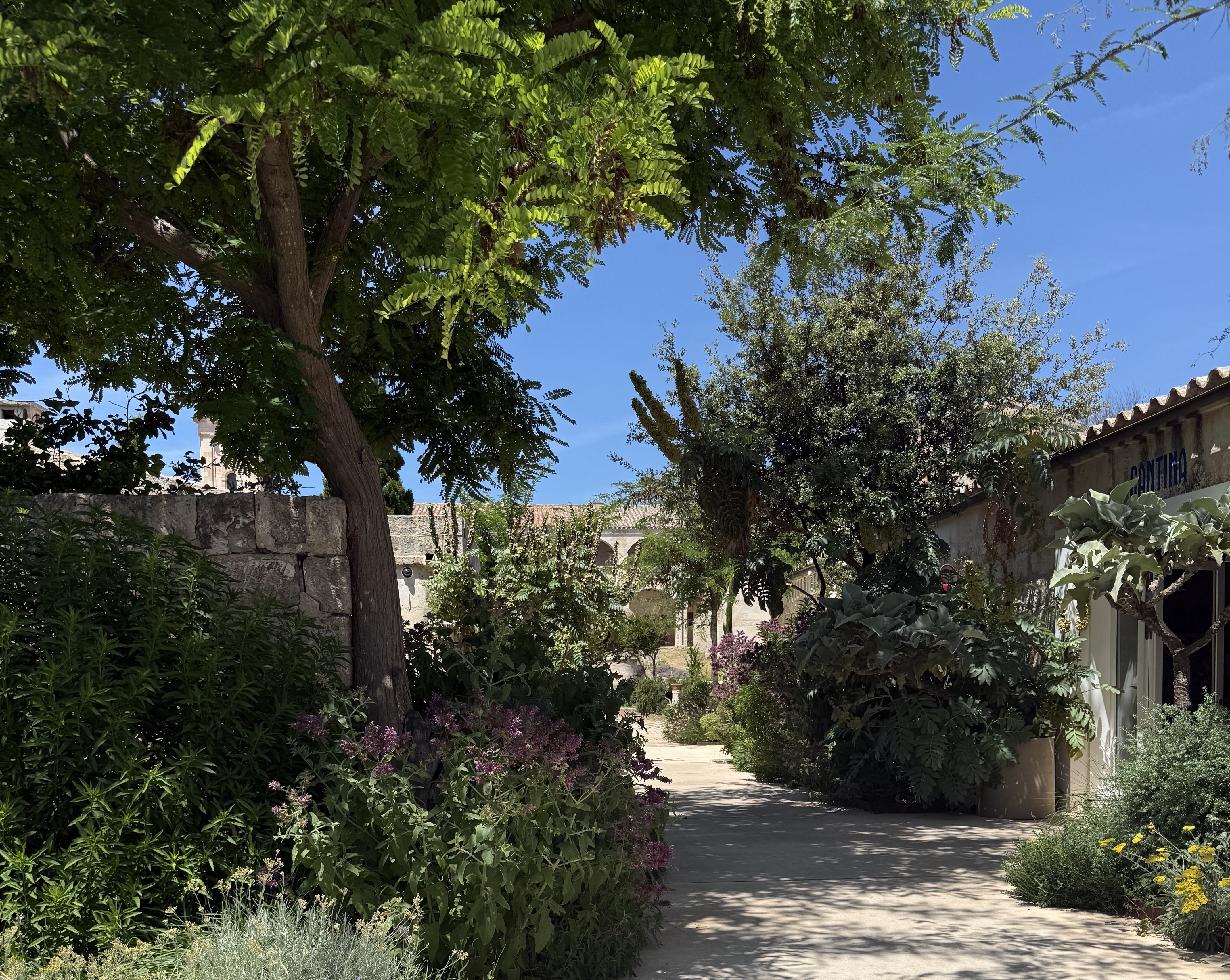 the gardens at hauser and wirth in menorca featuring a paved walking trail and lush flowers