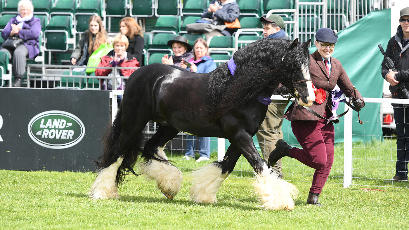 RWHS 08 05 19