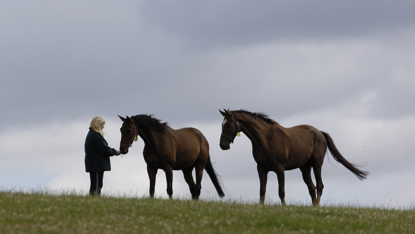 North Farm Stud,Fawley