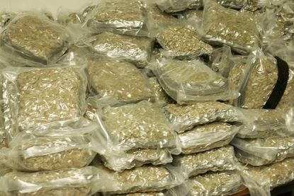Florida man 'Fat Boy' arrested with 20 grams of pot stashed in his stomach fat