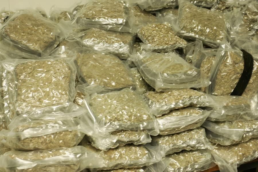 Florida man &amp;#039;Fat Boy&amp;#039; arrested with 20 grams of pot stashed in his stomach fat