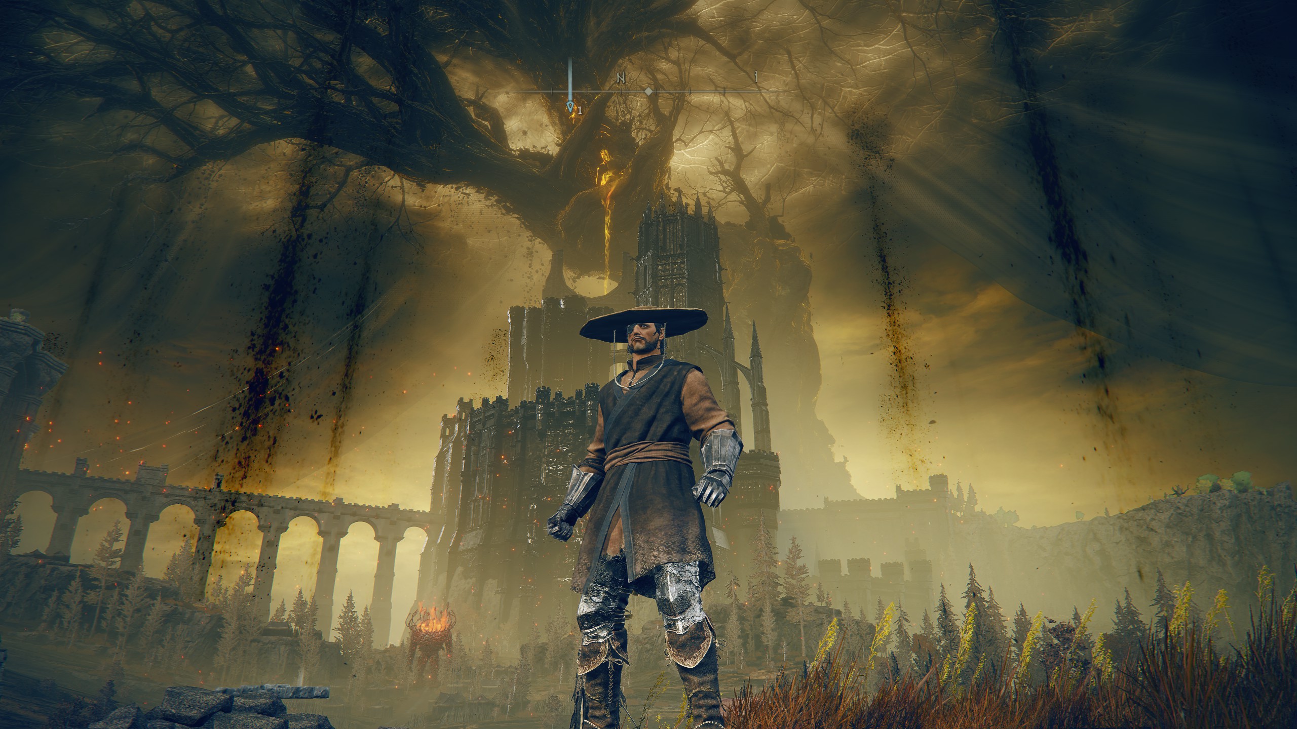 Elden Ring martial arts character in large hat below Scadutree.