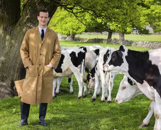 TV tonight Vet James Herriot and his cows.