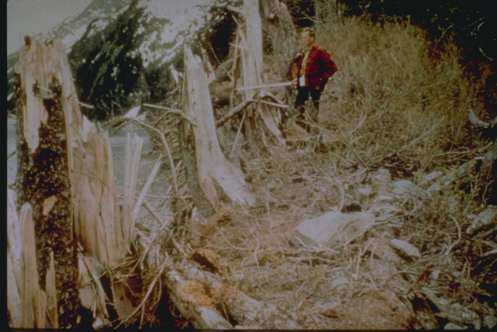 1964 alaska earthquake damage