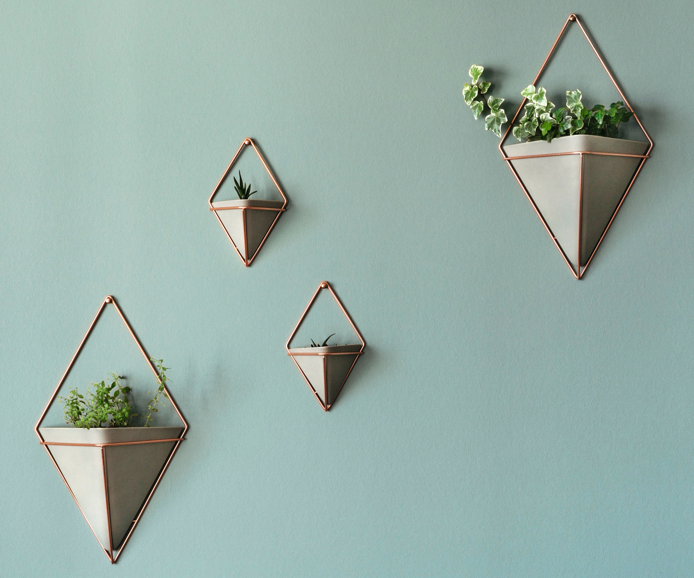 houseplants hanging from slings and geometric pots on pale blue wall