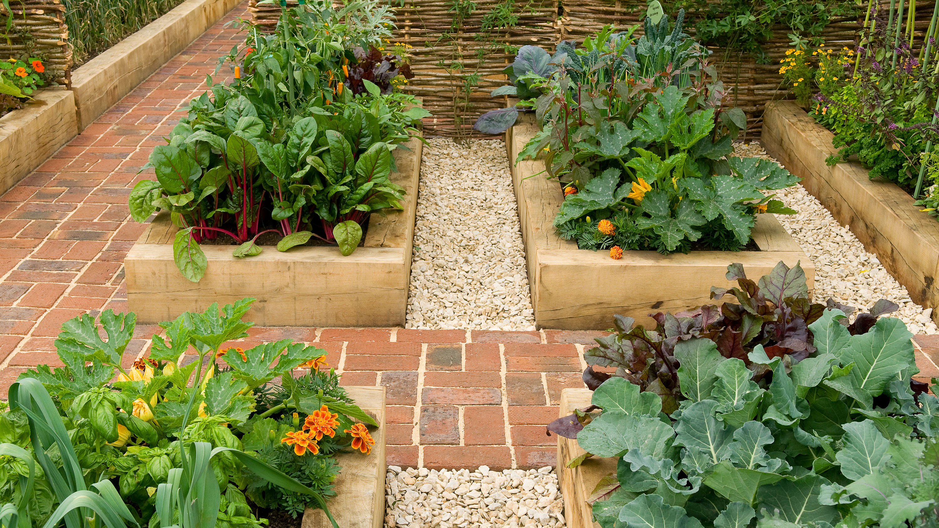 Frances Tophill vegetable patch tip