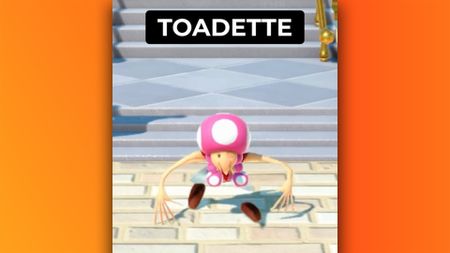 Toadette character skin over Donkey Kong's skeleton