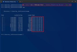 PowerShell only rename specific extension files