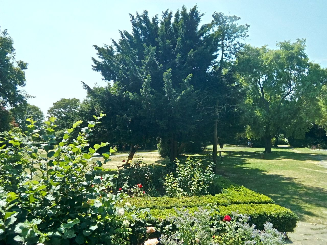 The tablet&rsquo;s attempt at HDR is only half-successful and leaves a slight cast over the top part of the image.