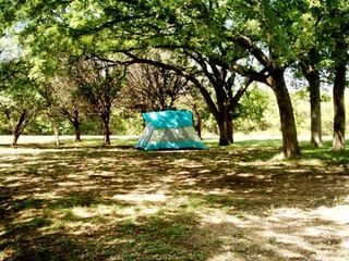 camping-tent-110624