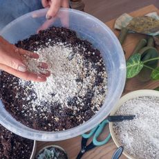 A hand dropping perlite into a pot of soil
