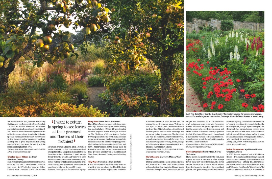 Spreads from Country Life January 21, 2026