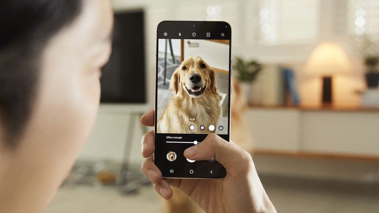 Samsung Galaxy S22 Android phone being used to take a picture of a dog