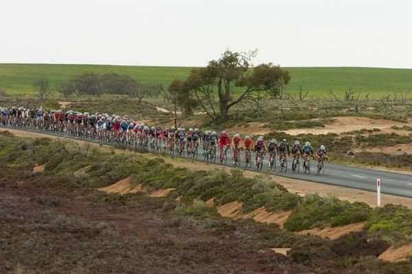 The chasing peloton string-out in search of the lead group on stage six from Swan Hill to Nyah West.