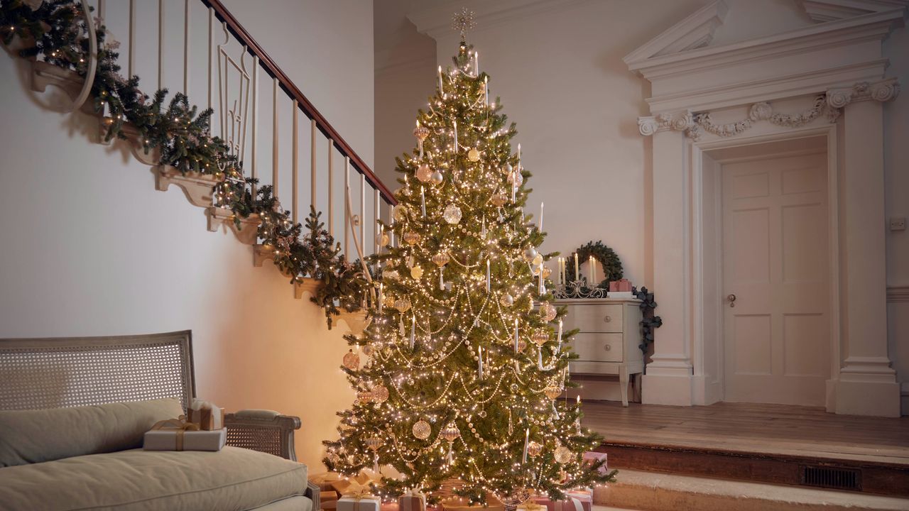 A decorated Christmas tree in a hallways illuminated with Christmas lights