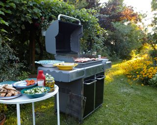 BBQ with ingredients in a large garden