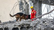 Emergency personnel and a dog search the site of a US-Israeli strike on a building in Tehran, Iran