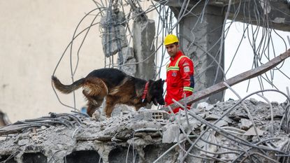 Emergency personnel and a dog search the site of a US-Israeli strike on a building in Tehran, Iran