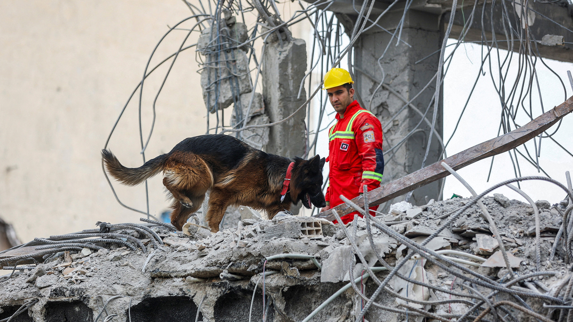 Emergency personnel and a dog search the site of a US-Israeli strike on a building in Tehran, Iran