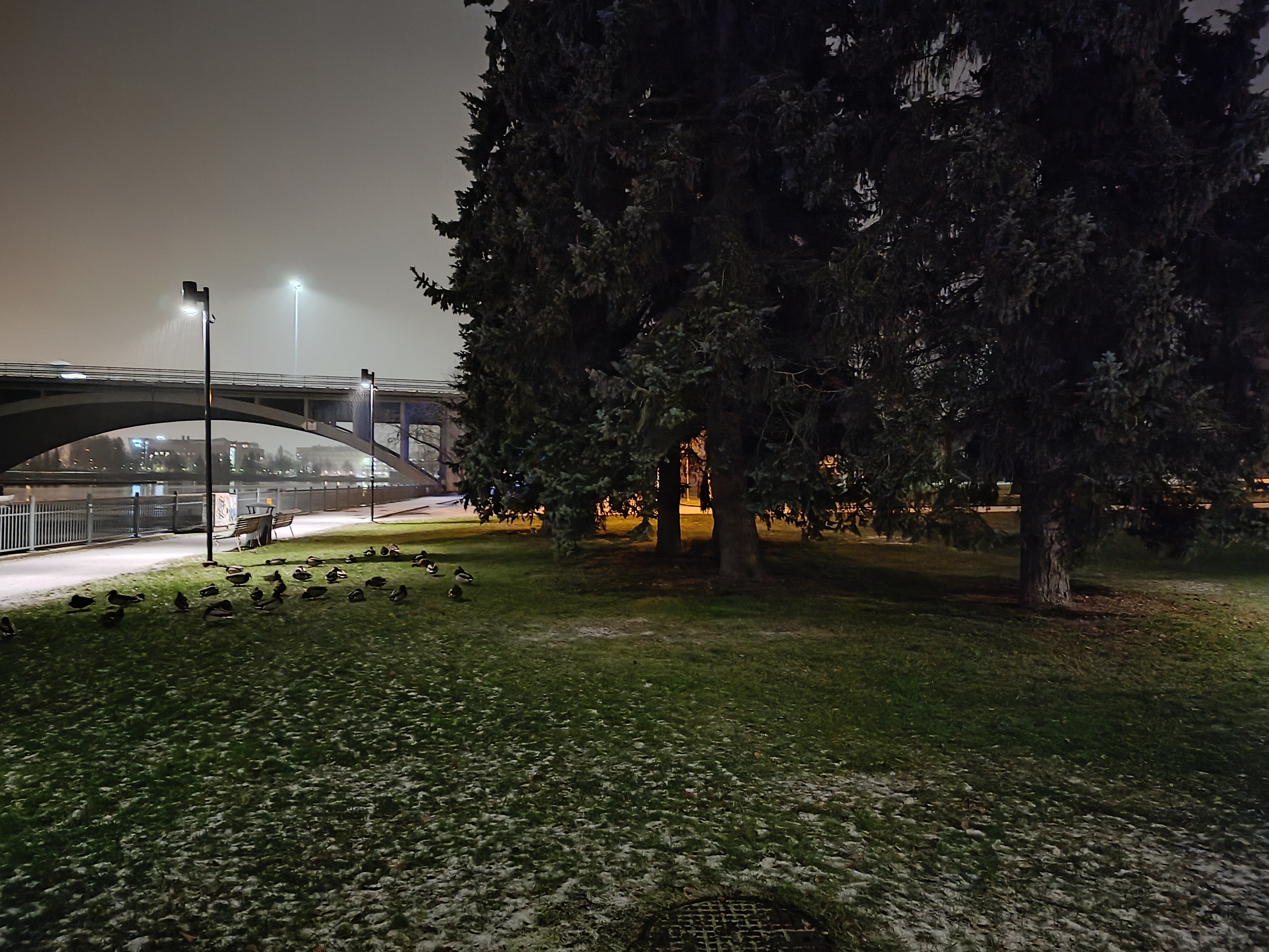Xiaomi 11T camera sample night mode
