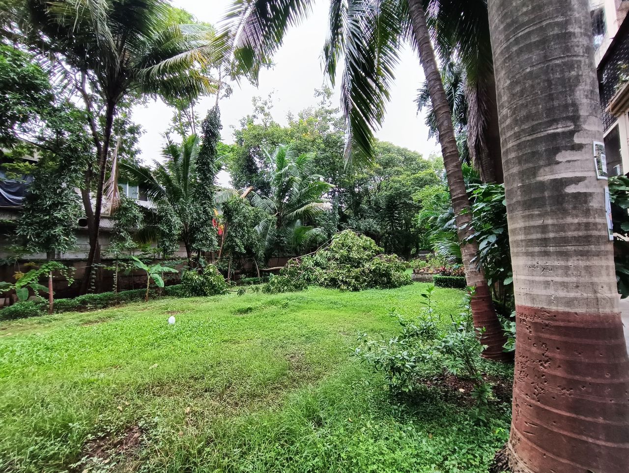 Poco F3 GT camera review